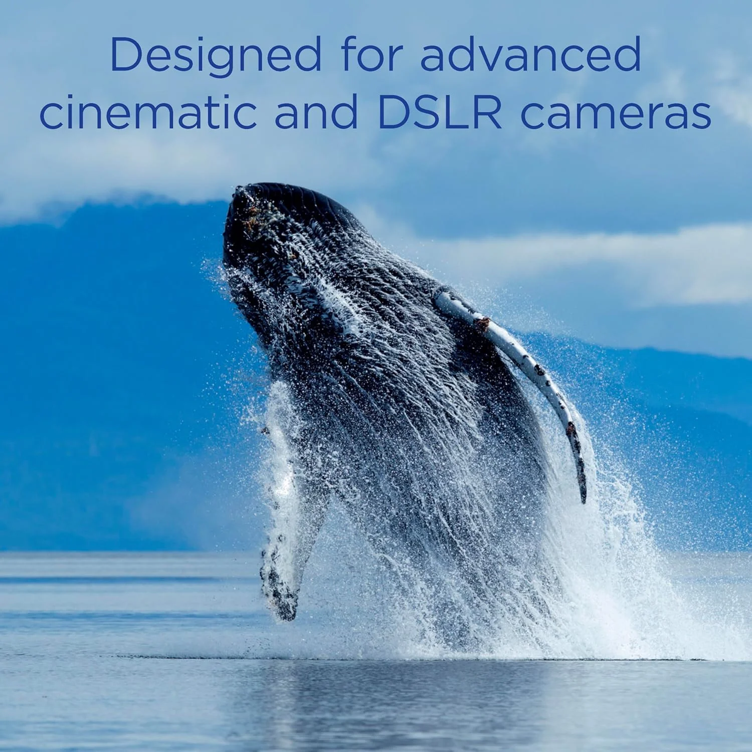 کارت حافظه 1 ترابایتی Integral CFexpress Type B 2.0 مناسب برای فیلمبرداری 12K و 8K RAW و 8K با سرعت 120 فریم بر ثانیه، سرعت خواندن 1800 مگابایت بر ثانیه، سرعت نوشتن 1400 مگابایت بر ثانیه، سرعت نوشتن مداوم 1200 مگابایت بر ثانیه، طراحی شده برای دوربین های پیشرفته سینمایی و DSLR کارت حافظه 1 ترابایتی Integral CFexpress Type B 2.0 مناسب برای فیلمبرداری 12K و 8K RAW و 8K با سرعت 120 فریم بر ثانیه، سرعت خواندن 1800 مگابایت بر ثانیه، سرعت نوشتن 1400 مگابایت بر ثانیه، سرعت نوشتن مداوم 1200 مگابایت بر ثانیه، طراحی شده برای دوربین های پیشرفته سینمایی و DSLR