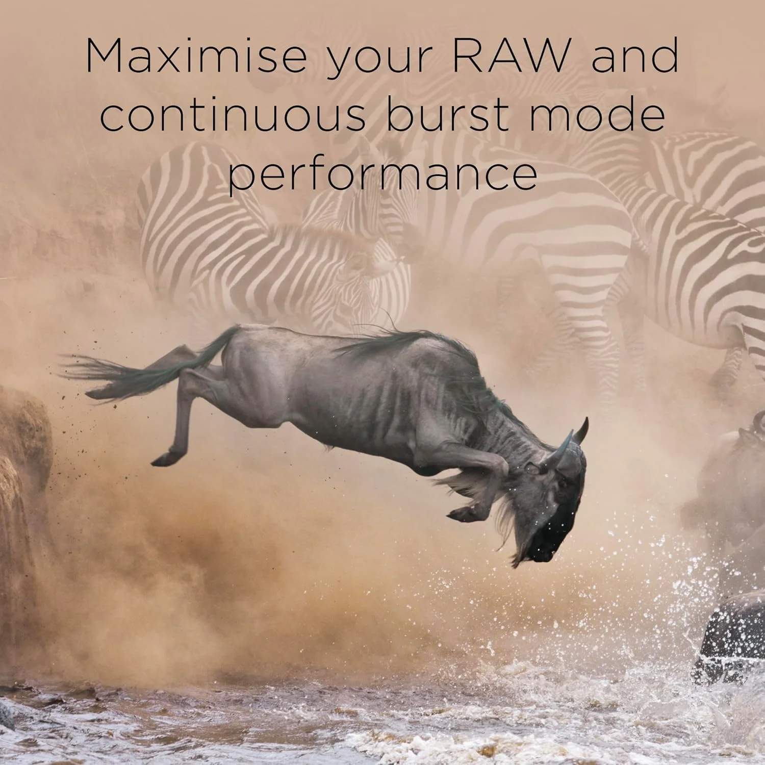 کارت حافظه 512 گیگابایتی Integral CFexpress Type B 2.0، مناسب برای فیلمبرداری 8K RAW و 4K با سرعت 120 فریم بر ثانیه، سرعت خواندن 1800 مگابایت بر ثانیه، سرعت نوشتن 1200 مگابایت بر ثانیه، سرعت نوشتن دائمی 900 مگابایت بر ثانیه، طراحی شده برای عکاسان و فیلمسازان حرفه ای کارت حافظه 512 گیگابایتی Integral CFexpress Type B 2.0، مناسب برای فیلمبرداری 8K RAW و 4K با سرعت 120 فریم بر ثانیه، سرعت خواندن 1800 مگابایت بر ثانیه، سرعت نوشتن 1200 مگابایت بر ثانیه، سرعت نوشتن دائمی 900 مگابایت بر ثانیه، طراحی شده برای عکاسان و فیلمسازان حرفه ای