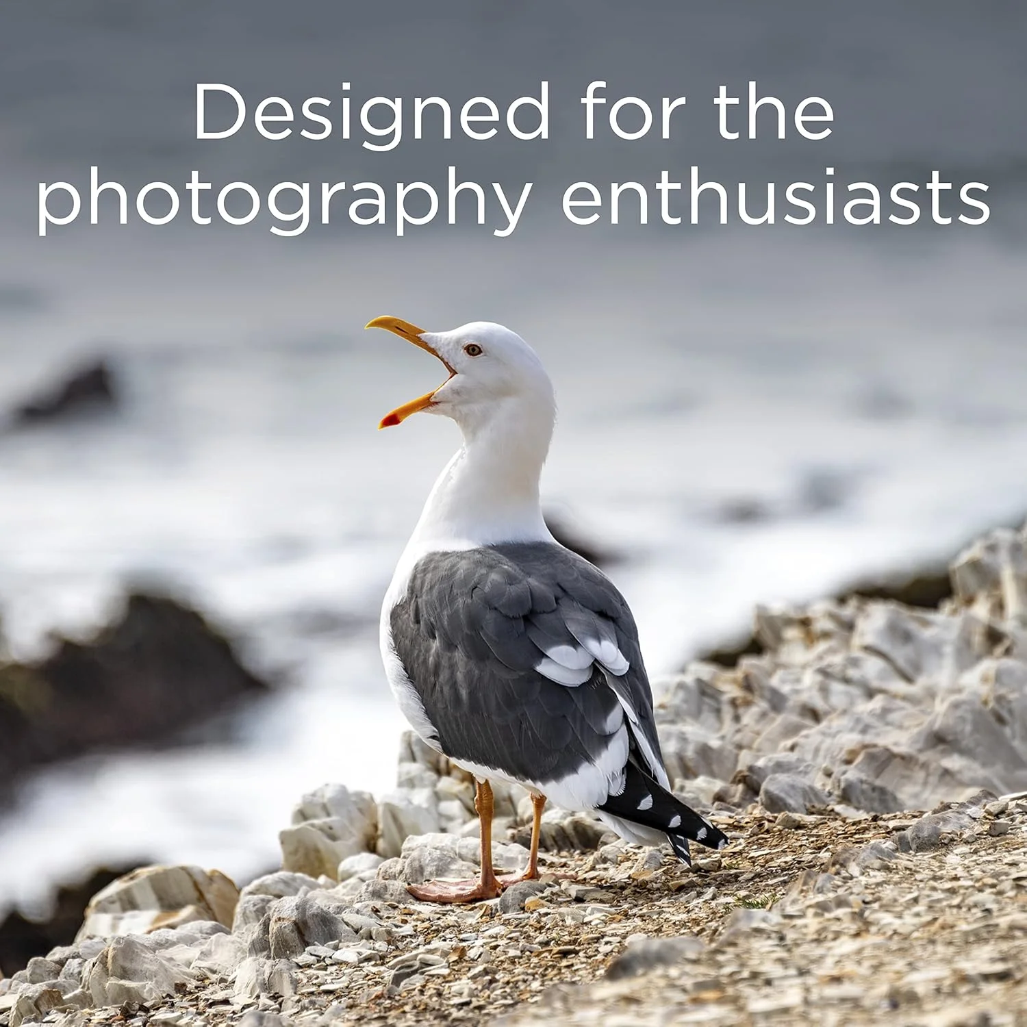 کارت حافظه کامپکت فلش 4 گیگابایتی Integral، طراحی شده برای علاقه مندان به عکاسی، بادوام و قابل اعتماد کارت حافظه کامپکت فلش 4 گیگابایتی Integral، طراحی شده برای علاقه مندان به عکاسی، بادوام و قابل اعتماد