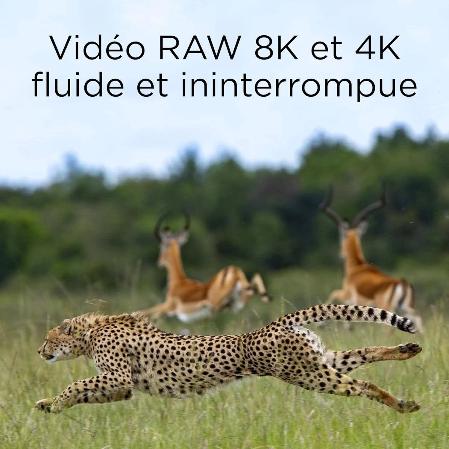 کارت حافظه 512 گیگابایتی Integral CFexpress Type B 2.0 مناسب برای فیلمبرداری 8K RAW و 4K با سرعت 120 فریم بر ثانیه، سرعت خواندن 1800 مگابایت بر ثانیه و سرعت نوشتن 1700 مگابایت بر ثانیه، طراحی شده برای فیلمبرداران و عکاسان حرفه ای