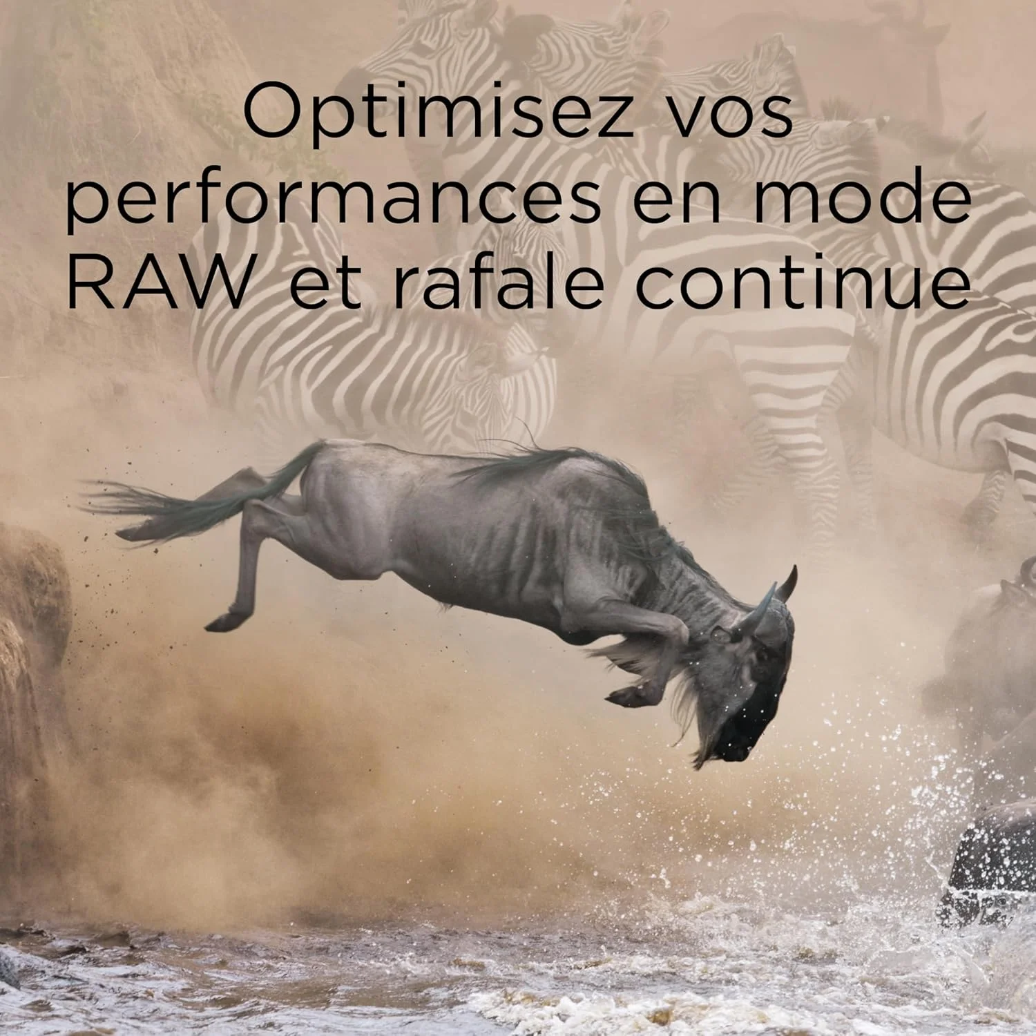 کارت حافظه 512 گیگابایتی Integral CFexpress Type B 2.0 مناسب برای فیلمبرداری 8K RAW و 4K با سرعت 120 فریم بر ثانیه، سرعت خواندن 1800 مگابایت بر ثانیه و سرعت نوشتن 1700 مگابایت بر ثانیه، طراحی شده برای فیلمبرداران و عکاسان حرفه ای