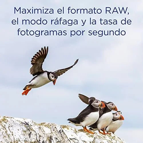 کارت حافظه کامپکت فلش 32 گیگابایتی اینتگرال UDMA-7 366x VPG-20 با سرعت خواندن 55 مگابایت بر ثانیه و سرعت نوشتن 25 مگابایت بر ثانیه، کارت حافظه حرفه ای با سرعت بالا کارت حافظه کامپکت فلش 32 گیگابایتی اینتگرال UDMA-7 366x VPG-20 با سرعت خواندن 55 مگابایت بر ثانیه و سرعت نوشتن 25 مگابایت بر ثانیه، کارت حافظه حرفه ای با سرعت بالا