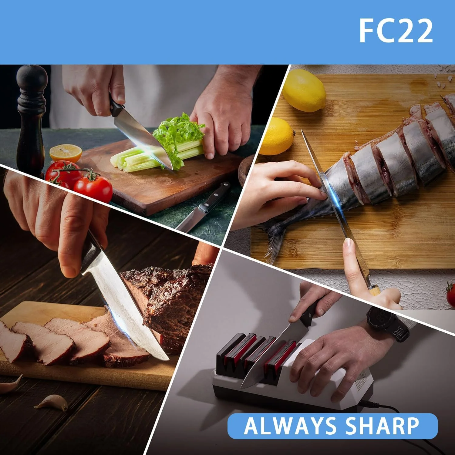 FC22 Electric Knife Sharpener Tool - Professional Kitchen Knives Sharping Kit with 100% Diamond Abrasives and Precision Guides 3-stage Slots for Serrated, Straight, Ceramic Knives