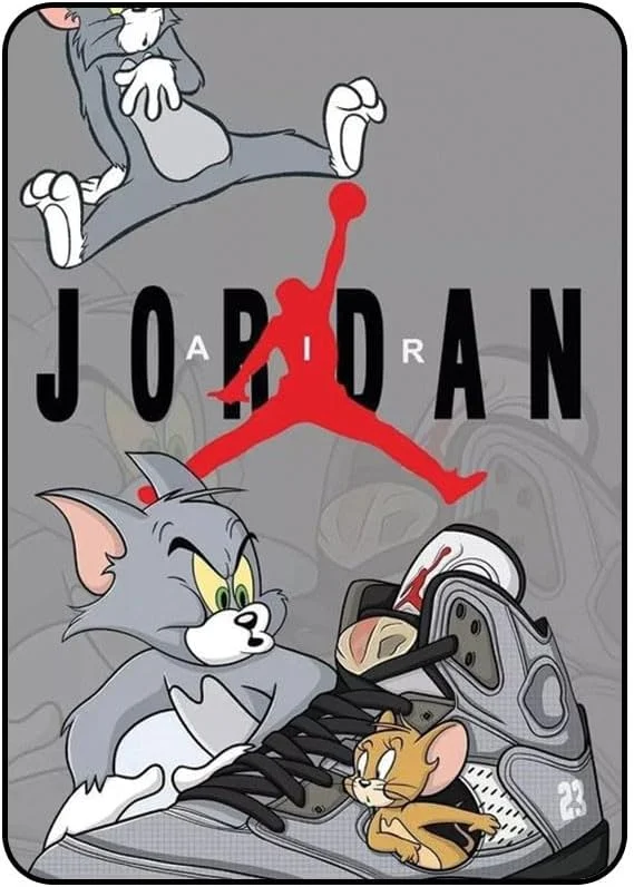 کاور محافظ طرح جردن مدل AAIPAD234N435 مناسب برای آیپد 2/3/4 اپل