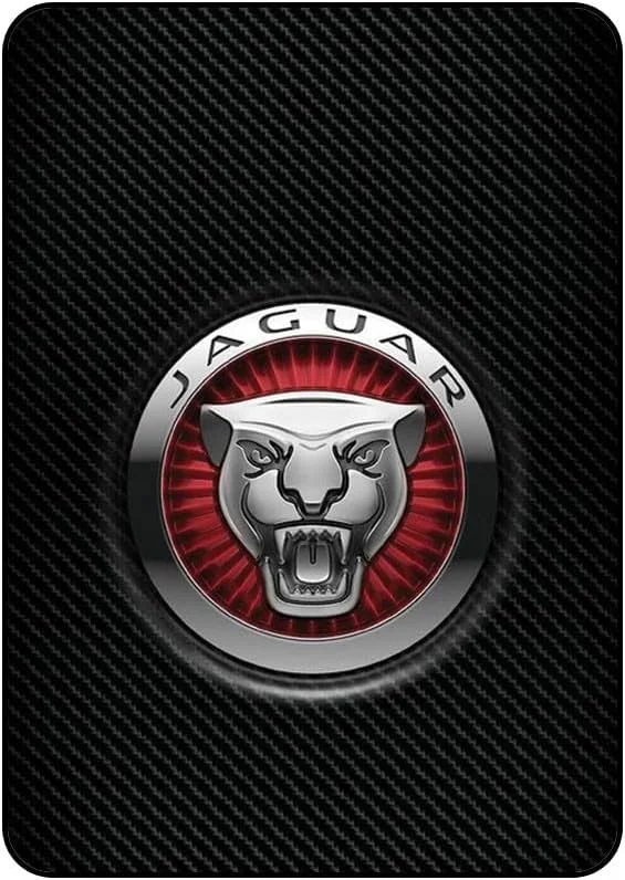 کاور محافظ آیپد 2/3/4 با طرح لوگوی جگوار مدل AAIPAD234N420