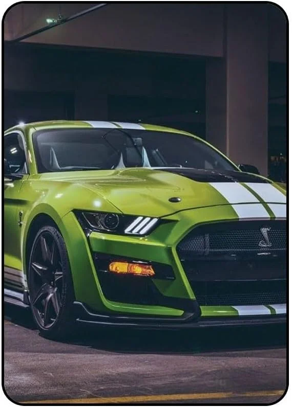 کاور محافظ طرح Mustang مدل AAIPAD234N619 مناسب برای آیپد 2/3/4 اپل