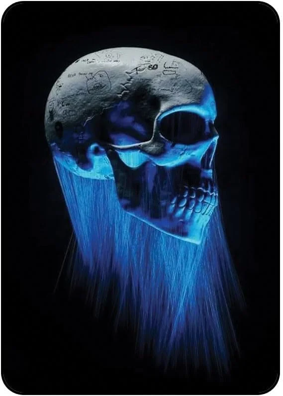 کاور محافظ طرح جمجمه مدل AAIPAD234N788 برای آیپد 2/3/4