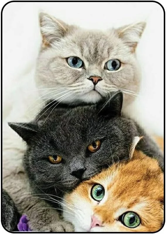 کاور محافظ طرح گربه AAIPADAIR2022109N223 مناسب برای آیپد ایر 2022 10.9 اینچی