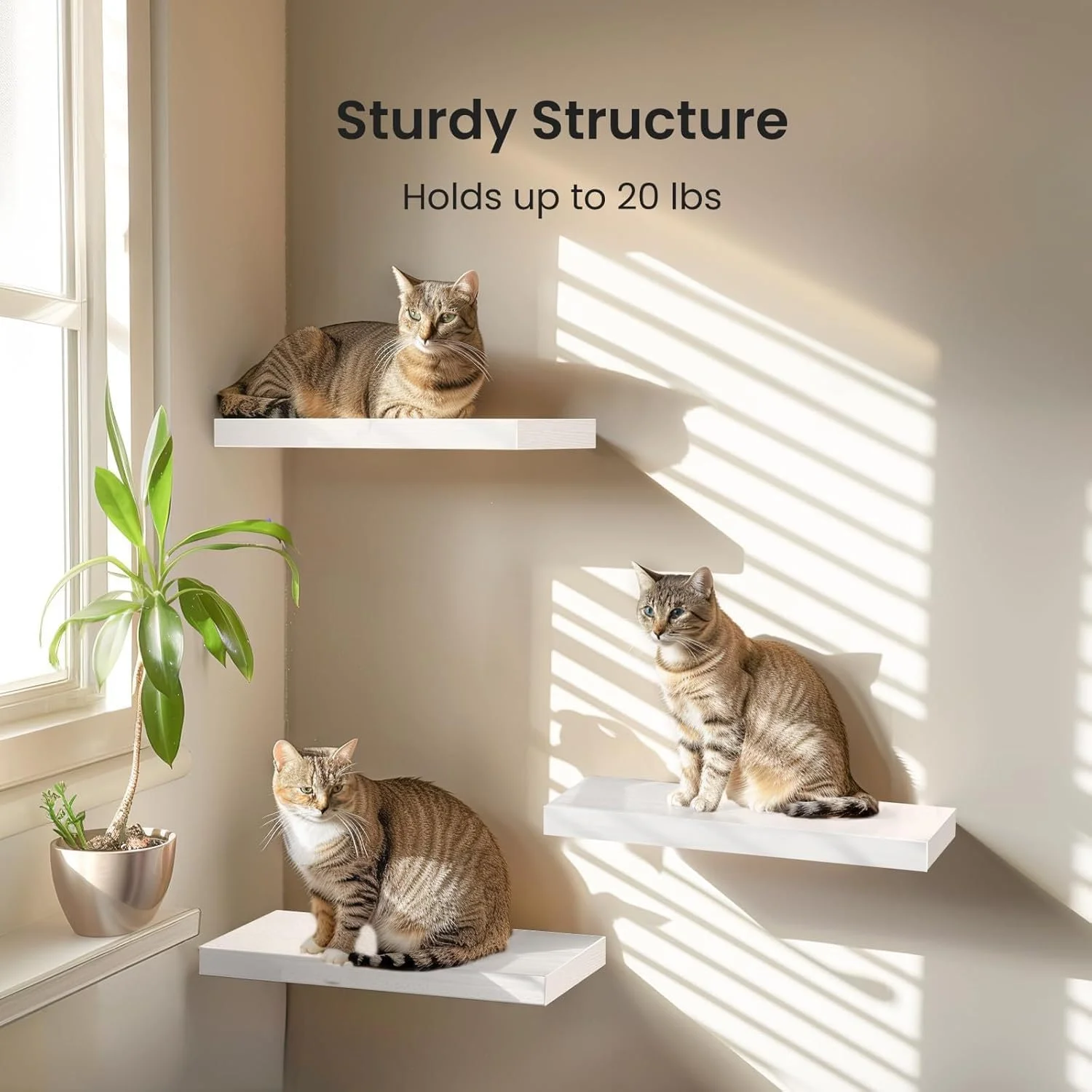 شلف دیواری شناور، ست 3 عددی شلف های دکوری مدرن برای اتاق خواب، اتاق نشیمن، آشپزخانه، حمام، دفتر کار، سفید، صرفه جویی در فضا برای فضاهای کوچک