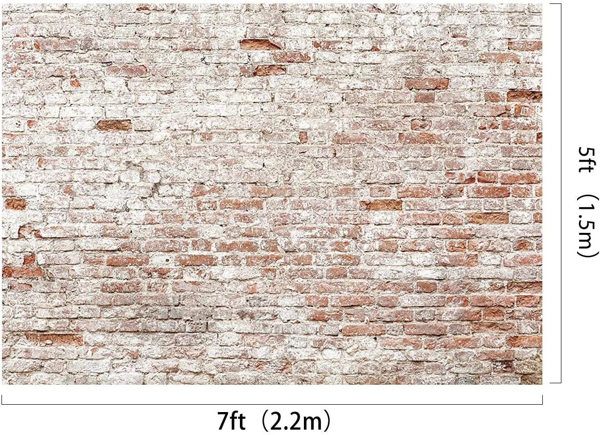 پس زمینه دیوار آجری روستایی میکروفیبر Kate برای عکاسی، مناسب بزرگسالان، کودکان و پسران، پس زمینه پرتره، دکوراسیون منزل و لوازم جانبی پس زمینه دیوار آجری روستایی میکروفیبر Kate برای عکاسی، مناسب بزرگسالان، کودکان و پسران، پس زمینه پرتره، دکوراسیون منزل و لوازم جانبی