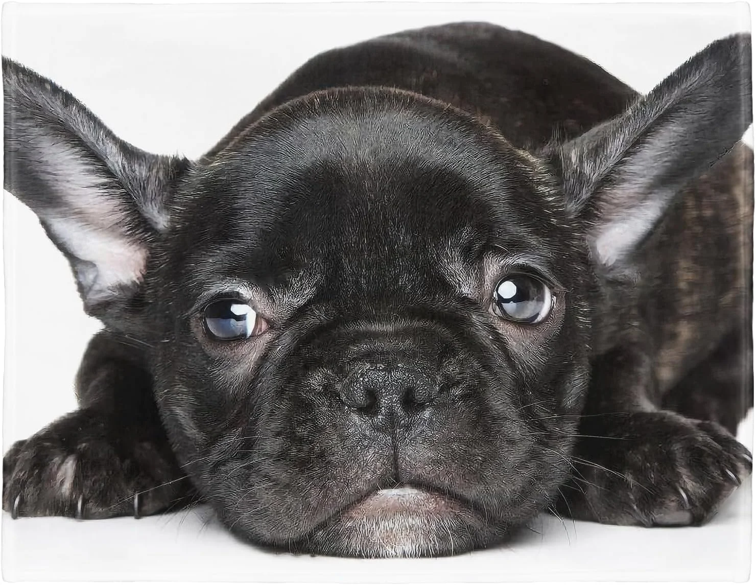 YISUMEI - پتو پشمی نرم رو تختی - بولداگ فرانسوی مشکی، سایز 150 در 200 سانتی متر مناسب برای مبل یا تخت