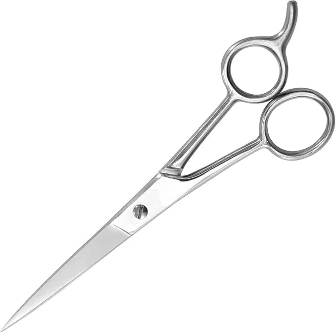 قیچی آرایشگری حرفه ای | قیچی پیرایشگری استیل ضد زنگ 6 اینچی | آرایشگری دقیق برای آقایان، بانوان و کودکان | ایده آل برای استفاده در سالن و منزل | نقره ای