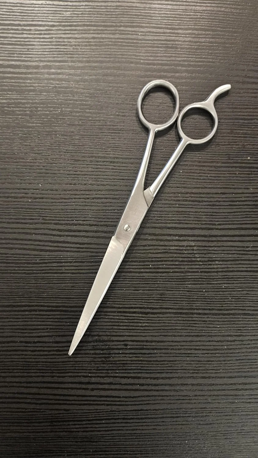 قیچی آرایشگری حرفه ای | قیچی پیرایشگری استیل ضد زنگ 6 اینچی | آرایشگری دقیق برای آقایان، بانوان و کودکان | ایده آل برای استفاده در سالن و منزل | نقره ای قیچی آرایشگری حرفه ای | قیچی پیرایشگری استیل ضد زنگ 6 اینچی | آرایشگری دقیق برای آقایان، بانوان و کودکان | ایده آل برای استفاده در سالن و منزل | نقره ای