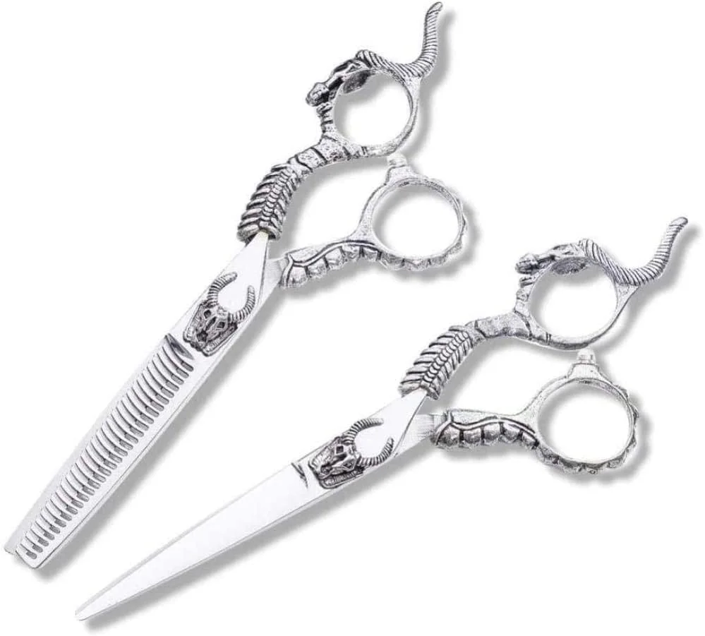 قیچی آرایشگری حرفه ای ENPAP، قیچی اصلاح مو و قیچی پیتاژ، مدل شمشیری، 15 سانتی متر، نقره ای، مناسب برای آرایشگاه ها یا استفاده خانگی