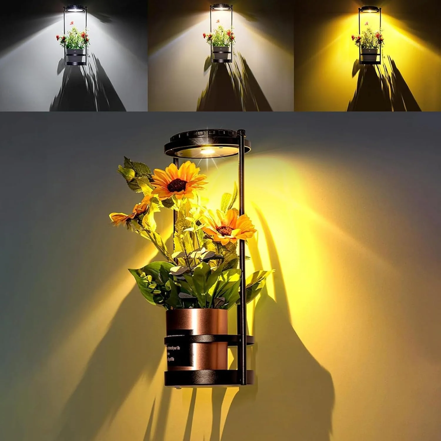 چراغهای خورشیدی ضد آب با پایه گلدان، چراغهای خورشیدی فضای باز با 3 دمای رنگ، نگهدارنده فلزی آویز گلدان، چراغ رشد گیاه، شمعدان دیواری فضای باز برای باغ، حیاط، پاسیو، بالکن، مشکی چراغهای خورشیدی ضد آب با پایه گلدان، چراغهای خورشیدی فضای باز با 3 دمای رنگ، نگهدارنده فلزی آویز گلدان، چراغ رشد گیاه، شمعدان دیواری فضای باز برای باغ، حیاط، پاسیو، بالکن، مشکی