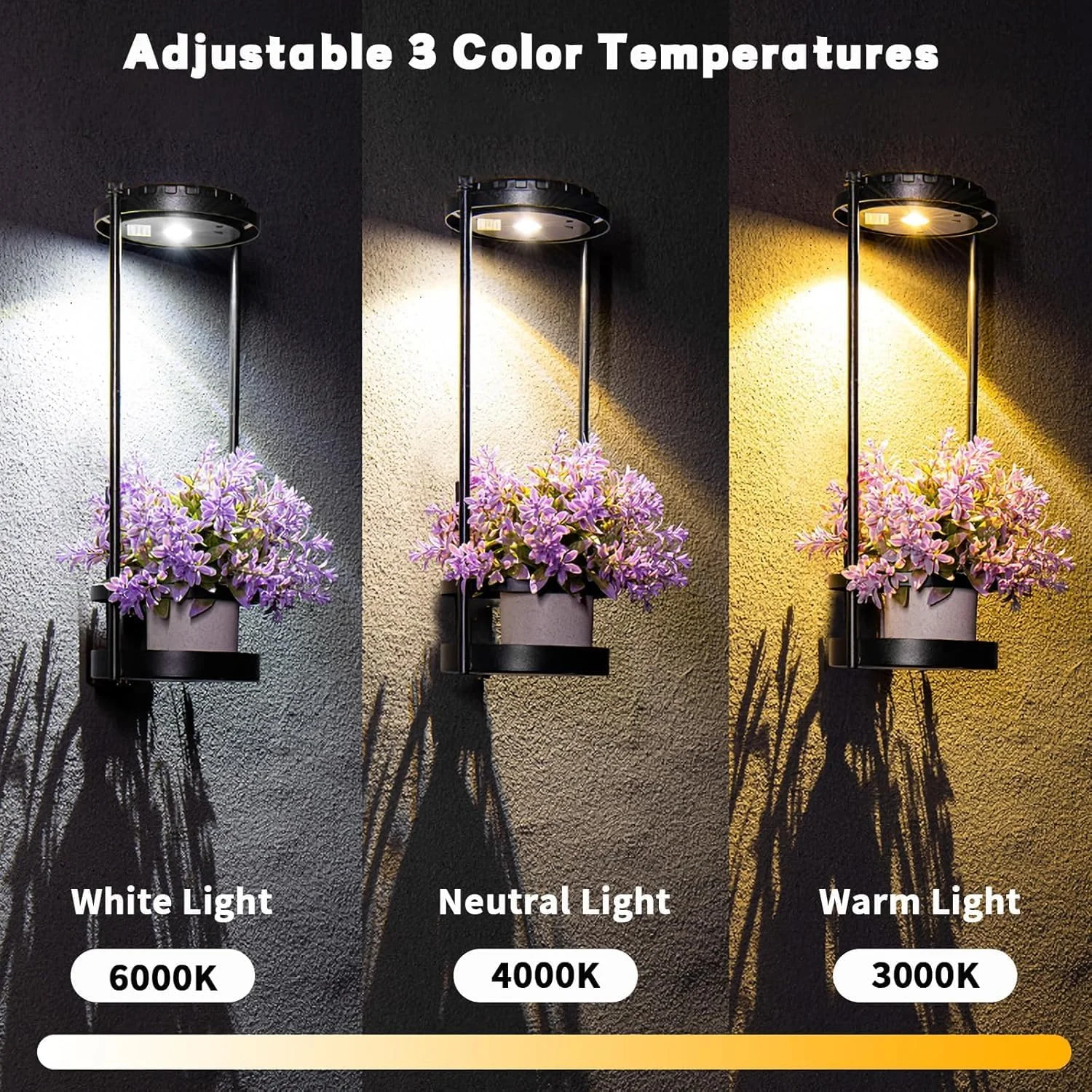 چراغهای خورشیدی ضد آب با پایه گلدان، چراغهای خورشیدی فضای باز با 3 دمای رنگ، نگهدارنده فلزی آویز گلدان، چراغ رشد گیاه، شمعدان دیواری فضای باز برای باغ، حیاط، پاسیو، بالکن، مشکی چراغهای خورشیدی ضد آب با پایه گلدان، چراغهای خورشیدی فضای باز با 3 دمای رنگ، نگهدارنده فلزی آویز گلدان، چراغ رشد گیاه، شمعدان دیواری فضای باز برای باغ، حیاط، پاسیو، بالکن، مشکی