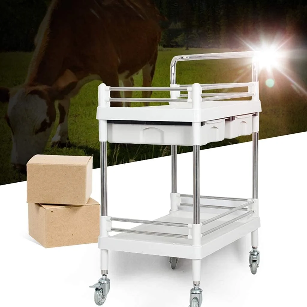 چرخ دستی تجهیزات آزمایشگاهی IDEQUY، چرخ دستی ابزار لجستیک ذخیره سازی دو طبقه، چرخ دستی کوچک متحرک بی صدا بیمارستانی، مقاوم در برابر سایش ABS، تحمل بار 80 کیلوگرم