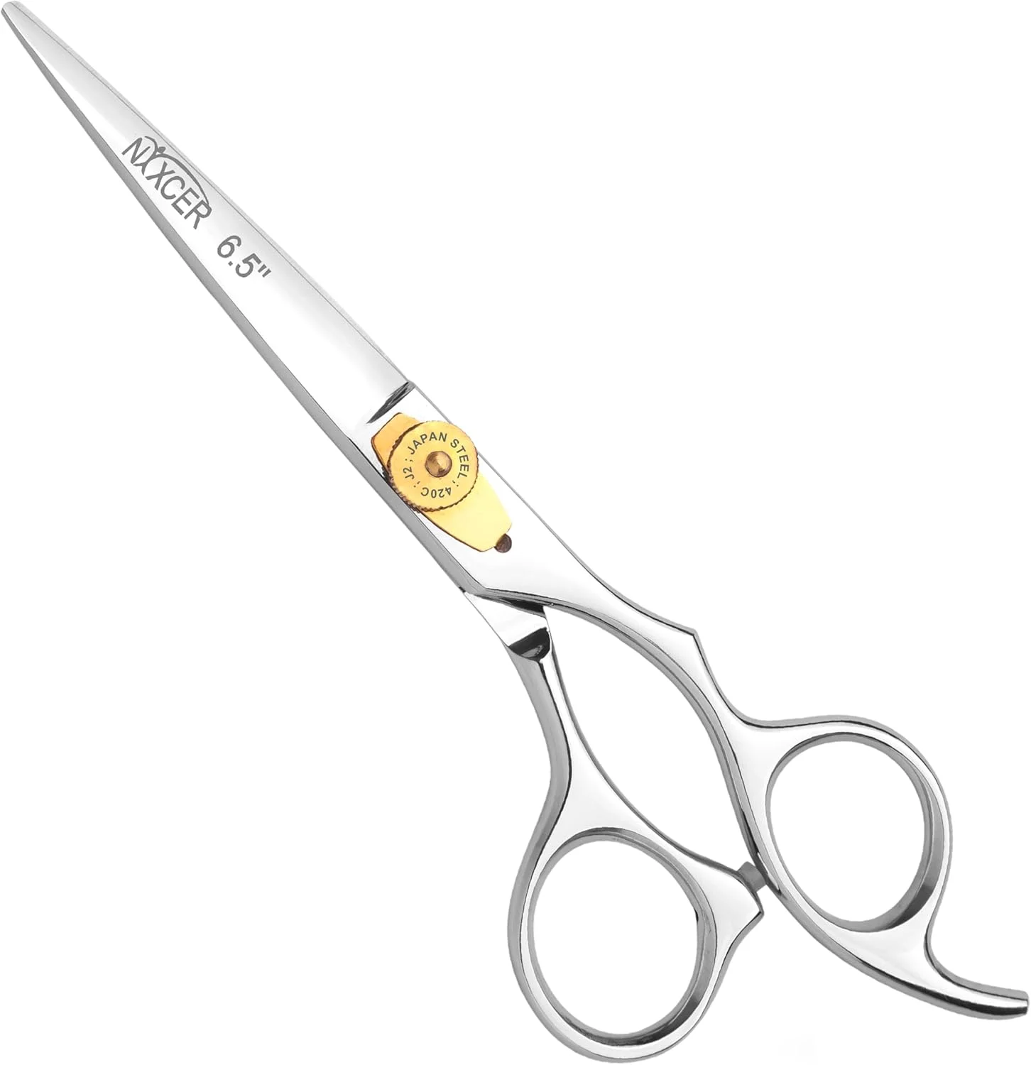 قیچی آرایشگری نیکسر - قیچی موی تیغه ای تیز - 6.5 اینچ با تنظیم دقیق - قیچی موی استیل ضد زنگ حرفه ای برای مردان، زنان و نوزادان (نقره ای)