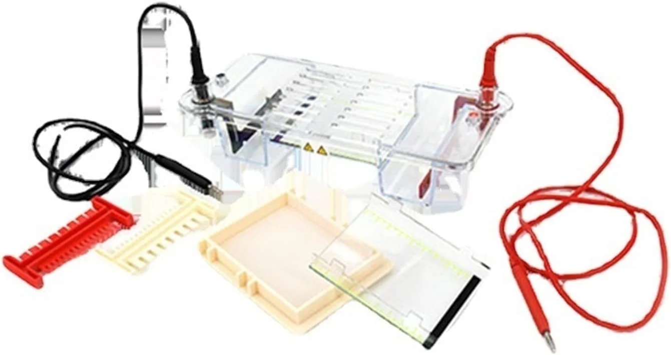 دستگاه الکتروفورز، ابزار الکتروفورز تجزیه توالی DNA مدل DYCZ-20A، ابزار الکتروفورز آزمایشگاهی برای پروتئین های رایج (DYCZ-28A)