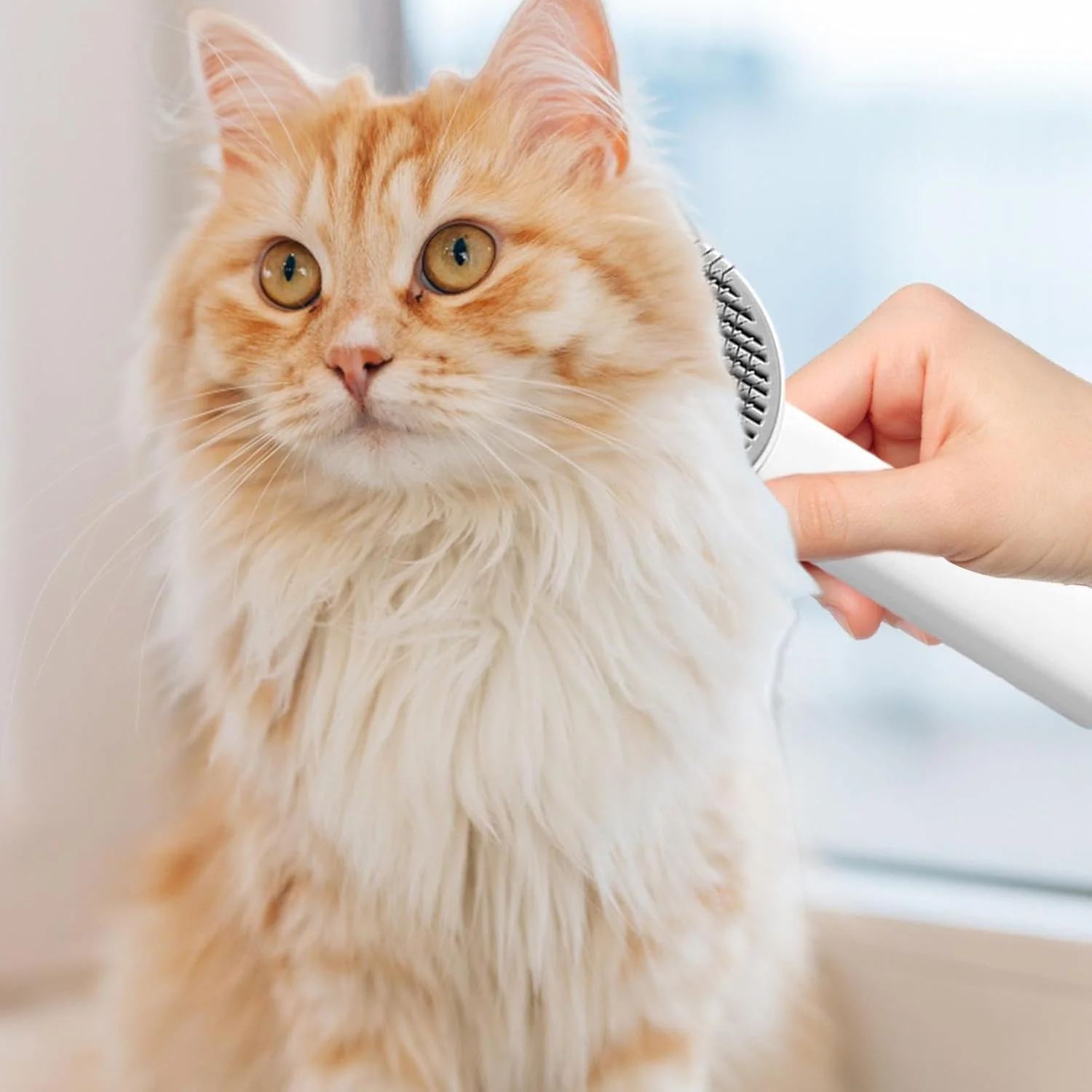 Dog Brush | Portable Deshedding Device Removes Knots and Matted Hair - Deshedding Tool, Grooming Rake and Brushes for Long Haired Pets