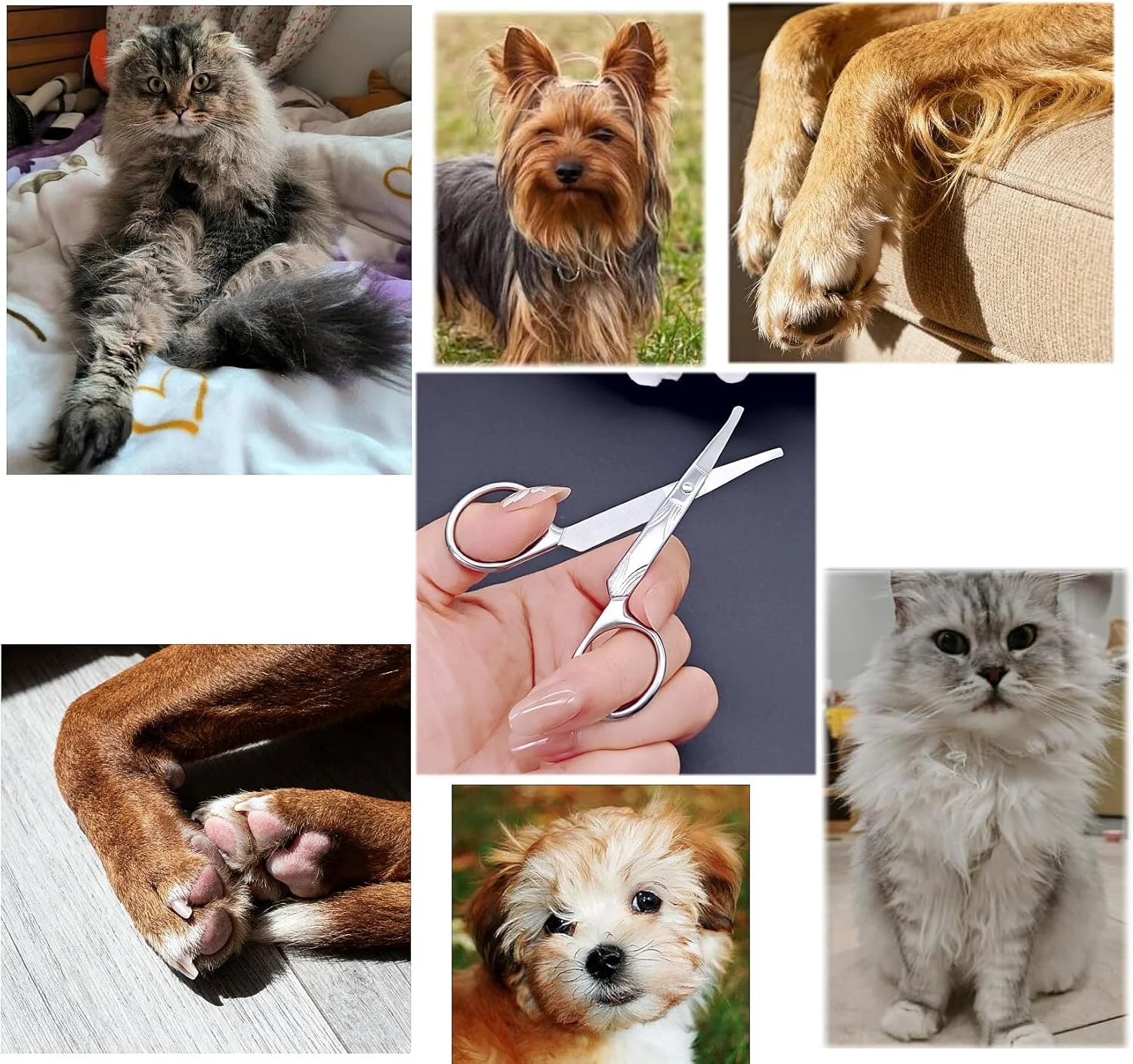 JZK Nasal Nose Hair Eyebrow Scissors Trimmer Remover for Men Women, mini Rounded tip Scissors for Beard Ear Hair Moustache Nail, Small pet Scissors for Dog cat face and paw Fur JZK Nasal Nose Hair Eyebrow Scissors Trimmer Remover for Men Women, mini Rounded tip Scissors for Beard Ear Hair Moustache Nail, Small pet Scissors for Dog cat face and paw Fur