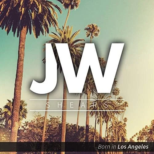 ست قیچی حرفه ای JW سری R - قیچی آرایشگری و پیتاژ، شنل و شانه، استیل ضد زنگ (S1-Combo) ست قیچی حرفه ای JW سری R - قیچی آرایشگری و پیتاژ، شنل و شانه، استیل ضد زنگ (S1-Combo)