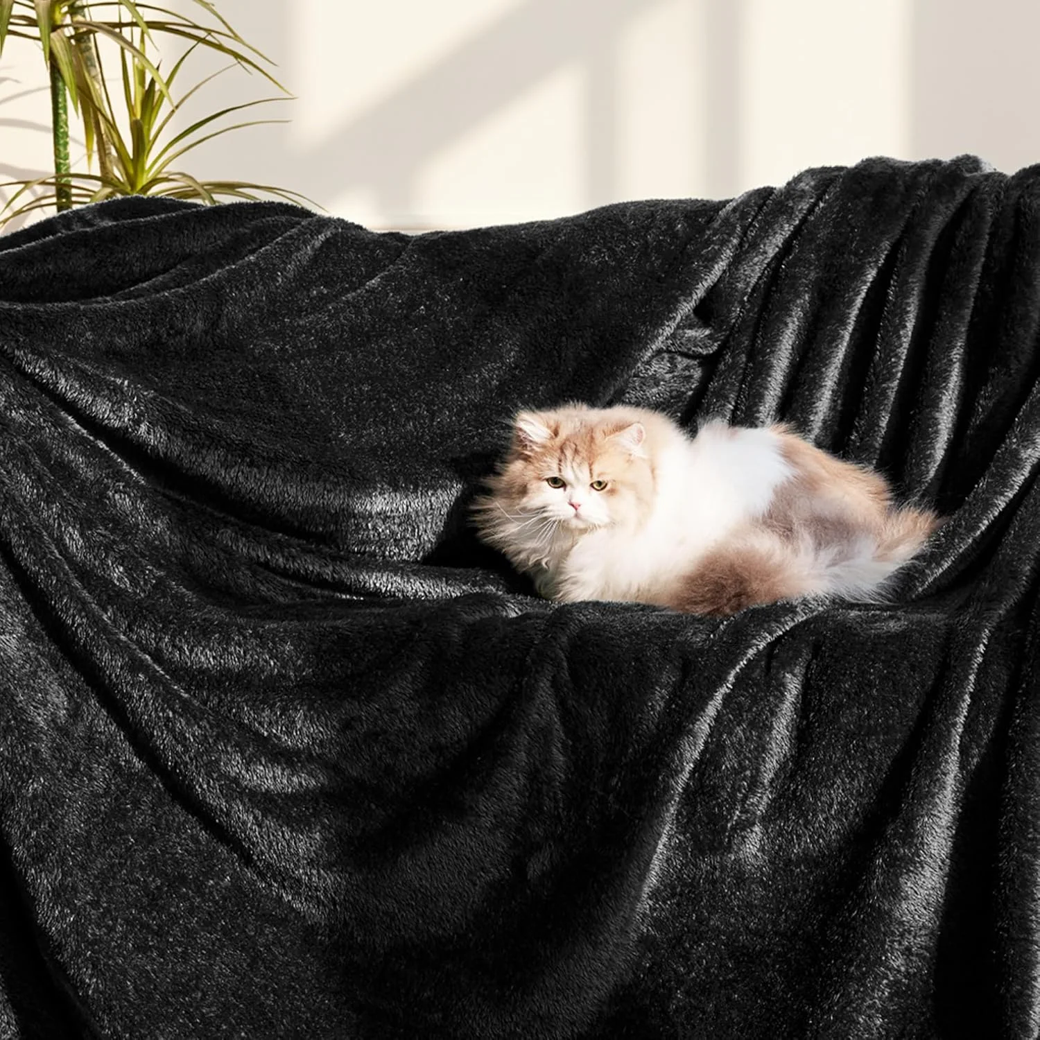 پتوی سایز کینگ مشکی Whale Flotilla مناسب تخت، پارچه پشمی نرم و گرم 300GSM، پتوی تزئینی سبک وزن، نرم و کرکی مناسب تمام فصول، 228x264 سانتی متر