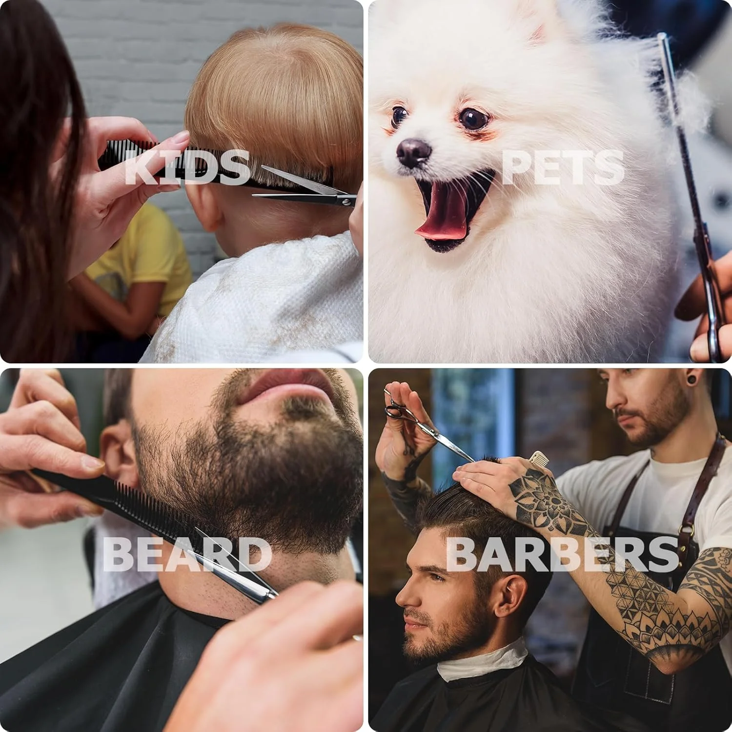 ست قیچی آرایشگری Carehabi، قیچی موی استیل ضد زنگ با روکش تیتانیوم مشکی 6.7 اینچی، کیت پیرایش موی حرفه ای برای زنان، مردان، کودکان، حیوانات خانگی، 1 عدد ست قیچی آرایشگری Carehabi، قیچی موی استیل ضد زنگ با روکش تیتانیوم مشکی 6.7 اینچی، کیت پیرایش موی حرفه ای برای زنان، مردان، کودکان، حیوانات خانگی، 1 عدد