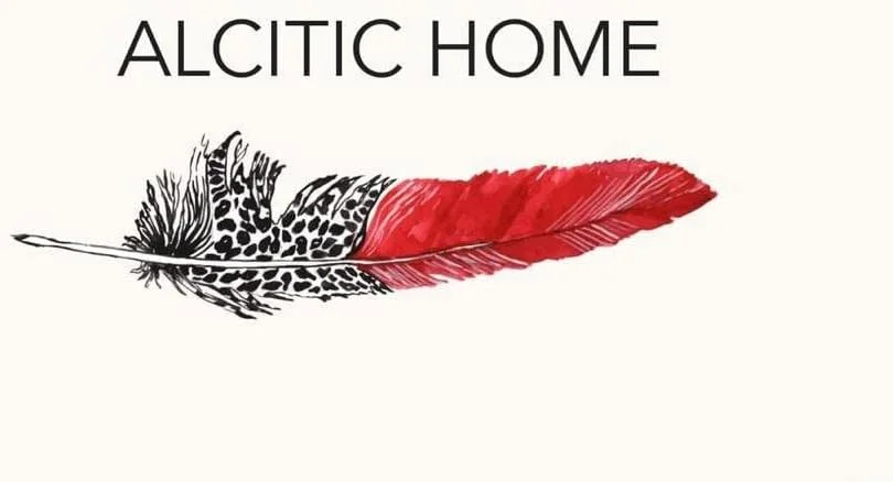 پتوی دونفره مینک بسیار زیبا و نرم با پارچه لطیف ALCITIC HOME. طراحی برجسته، چند رنگ