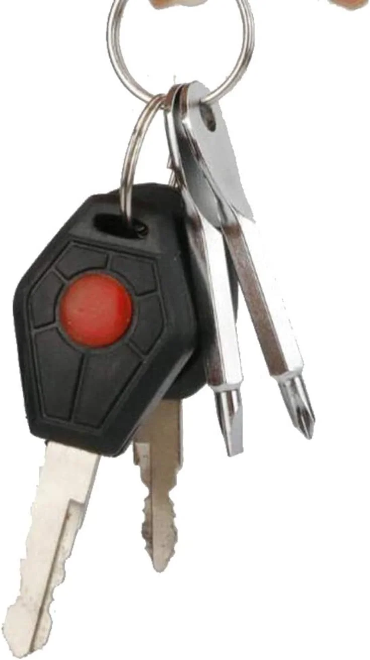 جاکلیدی پیچ گوشتی TERRIFI، زنجیره چند منظوره قابل حمل با کیت های مسافرتی مینی، ابزار EDC جیبی در فضای باز با حلقه، نقره ای جاکلیدی پیچ گوشتی TERRIFI، زنجیره چند منظوره قابل حمل با کیت های مسافرتی مینی، ابزار EDC جیبی در فضای باز با حلقه، نقره ای