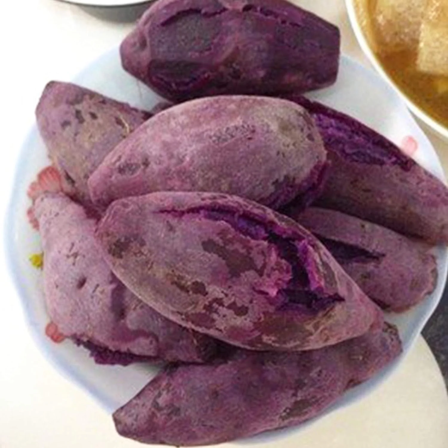 بذر سیب زمینی شیرین GQCQGS برای کاشت، 50 عدد در هر کیسه، بذر سیب زمینی شیرین با قابلیت بقای قوی، سیب زمینی بنفش با طراوت، کشت آسان بذر سبزیجات برای خانه بذر سیب زمینی شیرین GQCQGS برای کاشت، 50 عدد در هر کیسه، بذر سیب زمینی شیرین با قابلیت بقای قوی، سیب زمینی بنفش با طراوت، کشت آسان بذر سبزیجات برای خانه