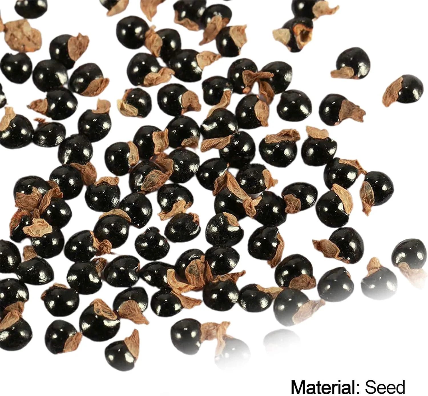 بذر برای کاشت، 100 عدد در هر کیسه، بذر کاکتوس مینی، کشت آسان، سبک وزن، تزئینی، بذر بونسای برای گلخانه، بذر بونسای برای حومه شهر - بذرهای کاکتوس بذر برای کاشت، 100 عدد در هر کیسه، بذر کاکتوس مینی، کشت آسان، سبک وزن، تزئینی، بذر بونسای برای گلخانه، بذر بونسای برای حومه شهر - بذرهای کاکتوس