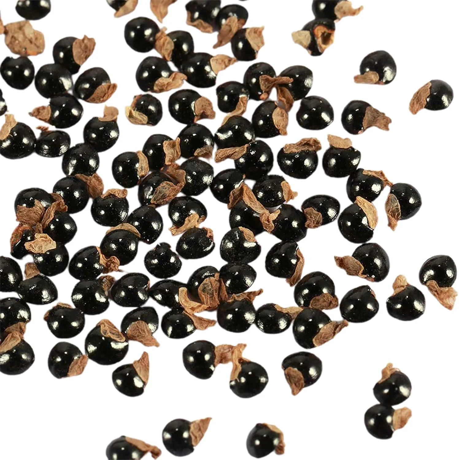 بذر برای کاشت، 100 عدد در هر کیسه، بذر کاکتوس مینی، کشت آسان، سبک وزن، تزئینی، بذر بونسای برای گلخانه، بذر بونسای برای حومه شهر - بذرهای کاکتوس بذر برای کاشت، 100 عدد در هر کیسه، بذر کاکتوس مینی، کشت آسان، سبک وزن، تزئینی، بذر بونسای برای گلخانه، بذر بونسای برای حومه شهر - بذرهای کاکتوس