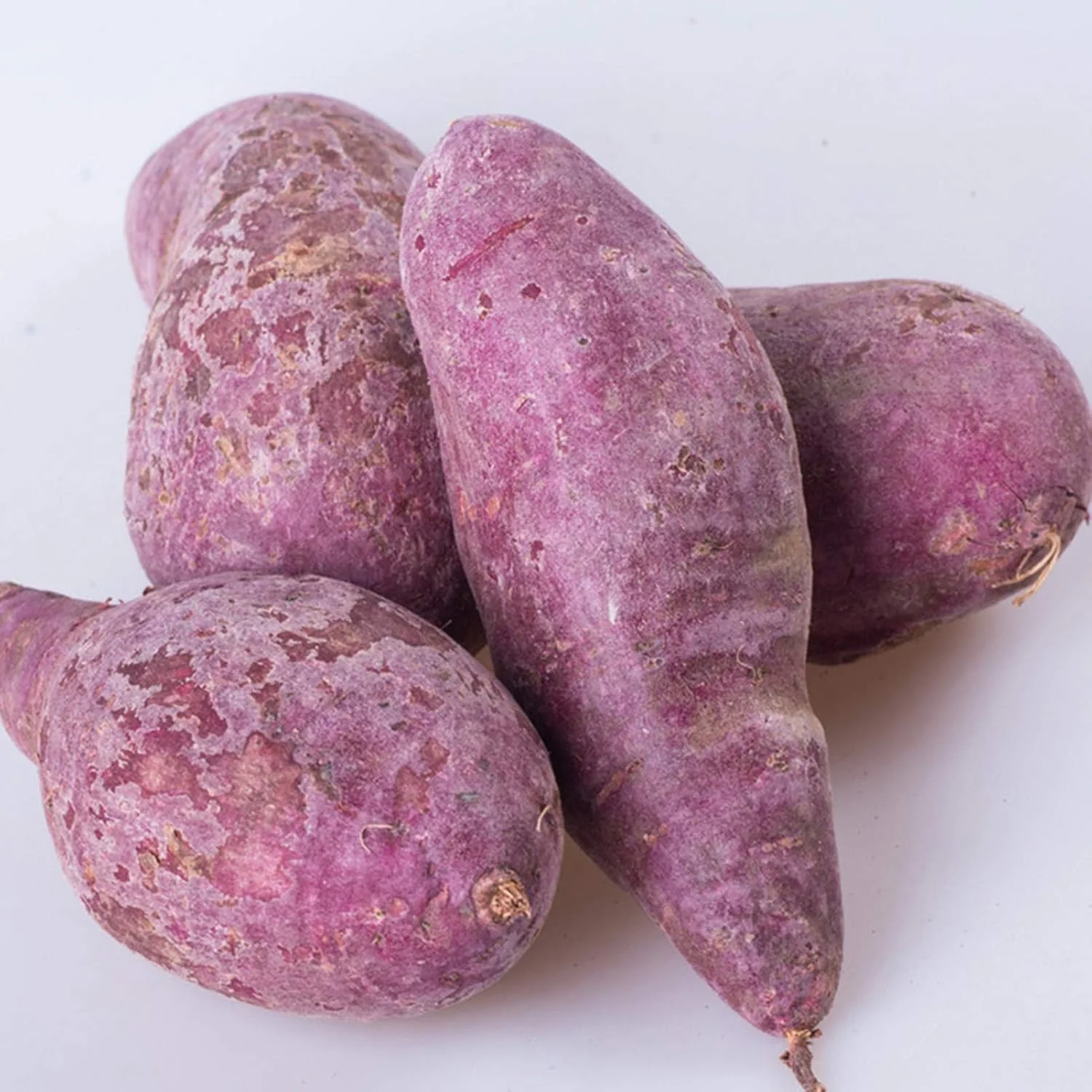 بذر سیب زمینی شیرین GQCQGS برای کاشت، 50 عدد در هر کیسه، بذر سیب زمینی شیرین با قابلیت بقای قوی، سیب زمینی بنفش با طراوت، کشت آسان بذر سبزیجات برای خانه بذر سیب زمینی شیرین GQCQGS برای کاشت، 50 عدد در هر کیسه، بذر سیب زمینی شیرین با قابلیت بقای قوی، سیب زمینی بنفش با طراوت، کشت آسان بذر سبزیجات برای خانه