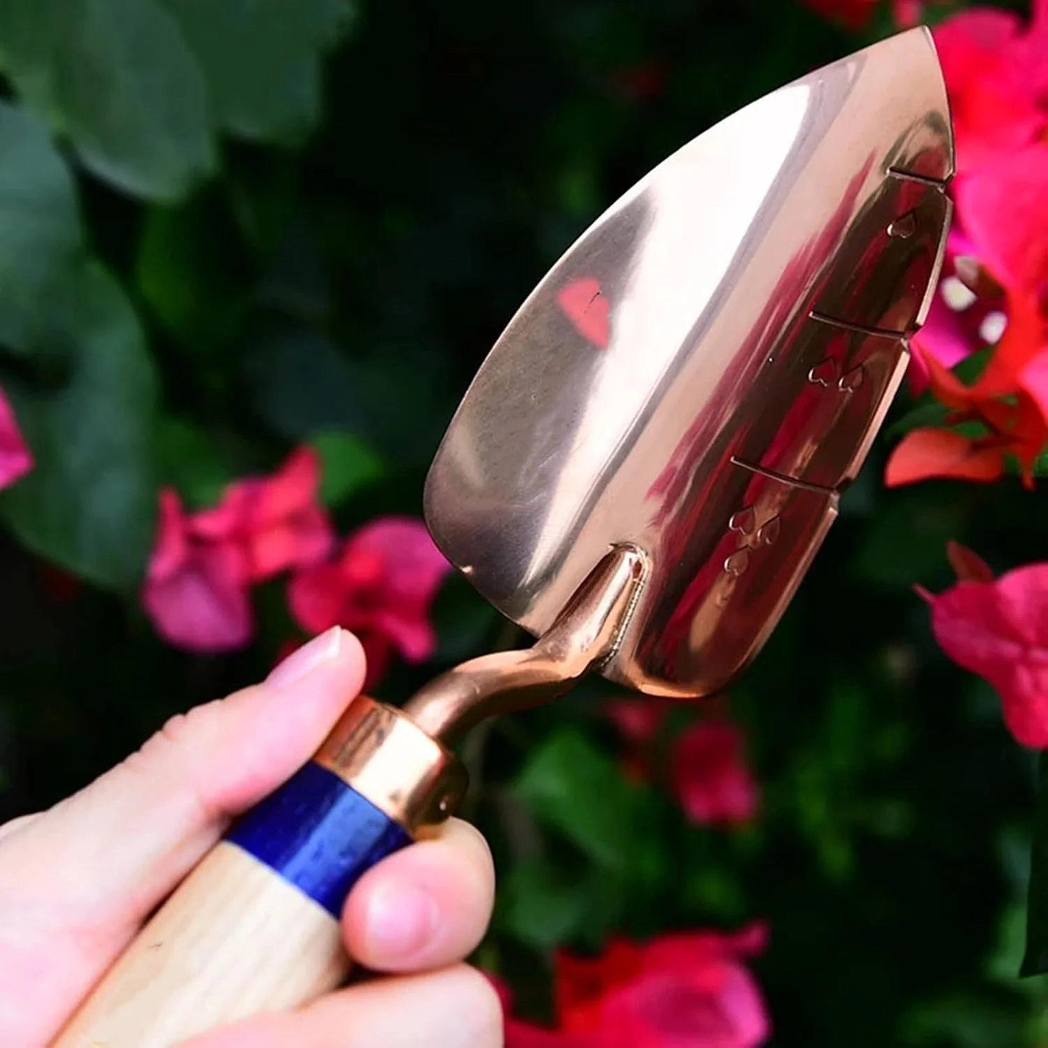 بیلچه باغبانی HEJLZC ابزار استیل برای کاشت و پرورش گیاهان، مناسب برای باغبانی، کاشت درختان، گیاهان بونسای، حفاری و کاشت (رنگ: بیلچه باغبانی، سایز: 25x6cm) بیلچه باغبانی HEJLZC ابزار استیل برای کاشت و پرورش گیاهان، مناسب برای باغبانی، کاشت درختان، گیاهان بونسای، حفاری و کاشت (رنگ: بیلچه باغبانی، سایز: 25x6cm)