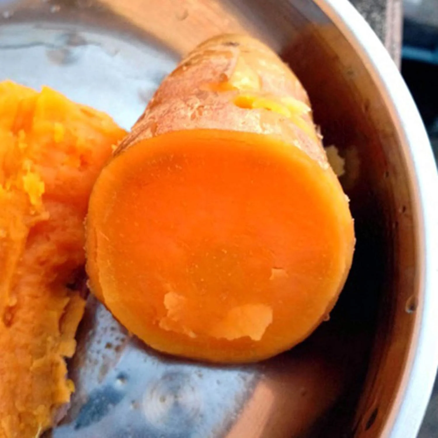 POOKQ 50 عدد بذر سیب زمینی شیرین در هر کیسه، قدرت بقای بالا سیب زمینی بنفش با طراوت، بذرهای سبزیجات کشت آسان برای کاشت باغ حیاط فضای باز 1 بذر سیب زمینی شیرین بنفش POOKQ 50 عدد بذر سیب زمینی شیرین در هر کیسه، قدرت بقای بالا سیب زمینی بنفش با طراوت، بذرهای سبزیجات کشت آسان برای کاشت باغ حیاط فضای باز 1 بذر سیب زمینی شیرین بنفش