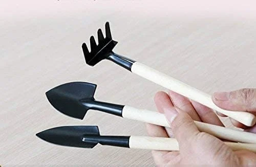 مجموعه ابزار باغبانی 3 تکه TYCA، کیت مینی باغبانی، ابزار گلدانی، دسته چوبی برای انتقال نشا، کاشت و وجین گل ها و نشاهای سبزیجات مجموعه ابزار باغبانی 3 تکه TYCA، کیت مینی باغبانی، ابزار گلدانی، دسته چوبی برای انتقال نشا، کاشت و وجین گل ها و نشاهای سبزیجات