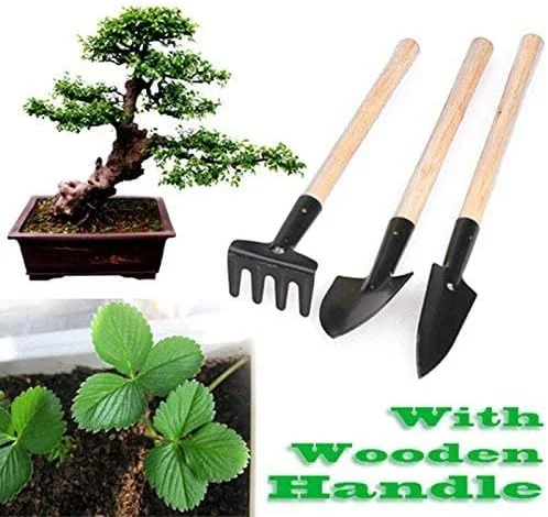 مجموعه ابزار باغبانی 3 تکه TYCA، کیت مینی باغبانی، ابزار گلدانی، دسته چوبی برای انتقال نشا، کاشت و وجین گل ها و نشاهای سبزیجات مجموعه ابزار باغبانی 3 تکه TYCA، کیت مینی باغبانی، ابزار گلدانی، دسته چوبی برای انتقال نشا، کاشت و وجین گل ها و نشاهای سبزیجات