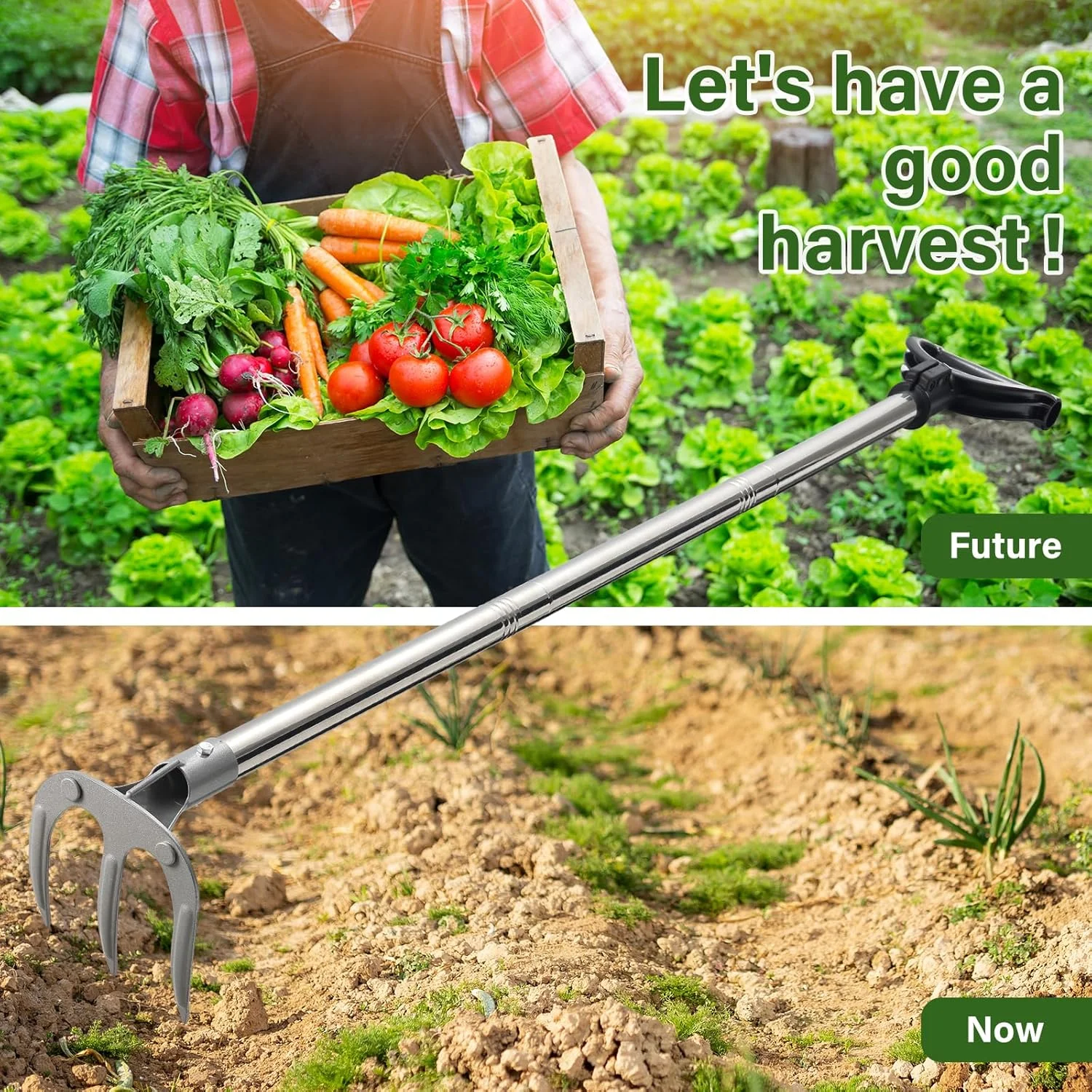 شن کش باغ، کولتیواتور سنگین با 3 شاخه، ابزار باغبانی وجین کش خاک با دسته بلند 57 اینچی، شن کش فلزی وجین برای حذف سریع علف های هرز، کولتیواتور، شل کردن خاک، کاشت شن کش باغ، کولتیواتور سنگین با 3 شاخه، ابزار باغبانی وجین کش خاک با دسته بلند 57 اینچی، شن کش فلزی وجین برای حذف سریع علف های هرز، کولتیواتور، شل کردن خاک، کاشت