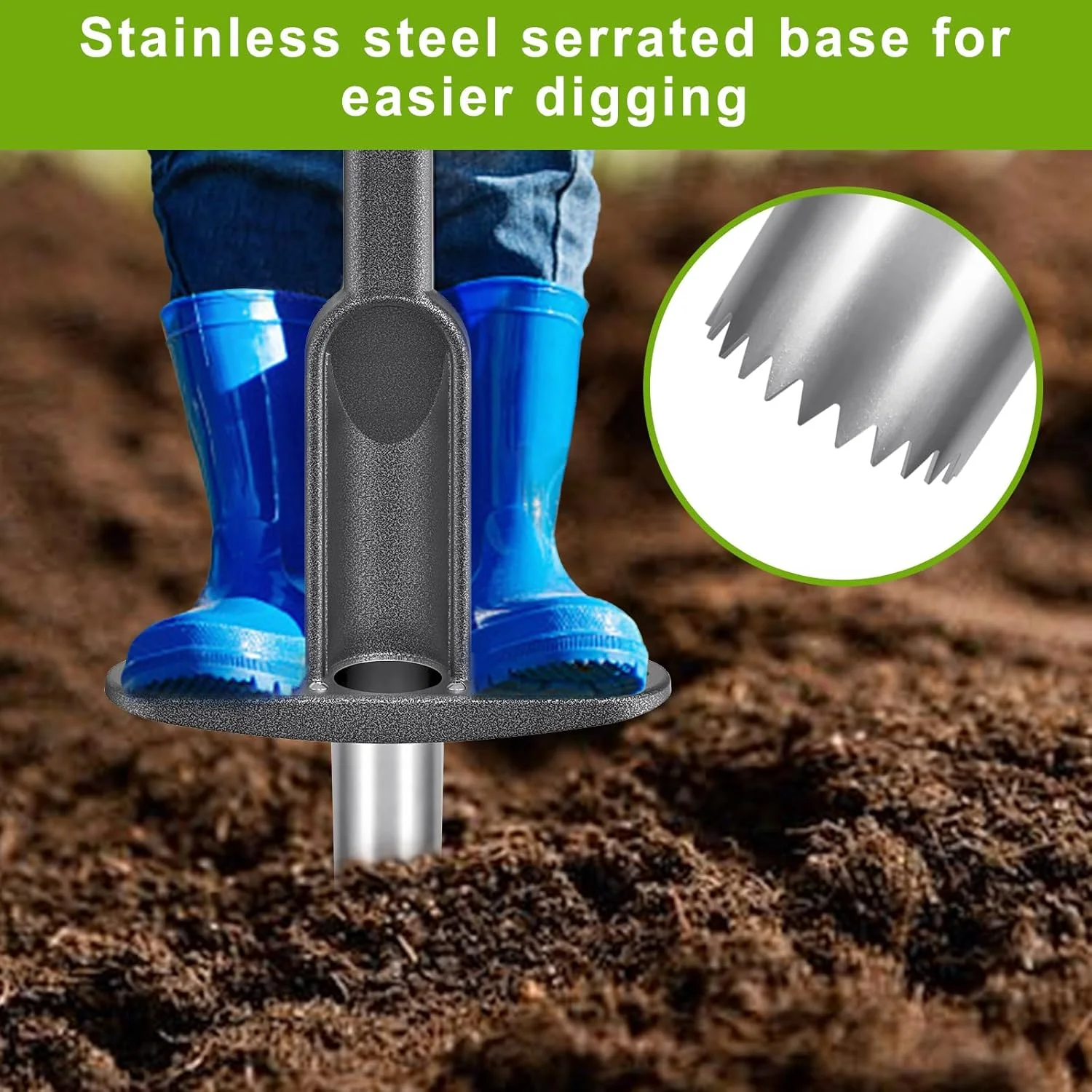 ابزار کاشت پیاز Lifeswell با دسته بلند و دندانه های تیز استیل ضد زنگ، ابزار کاشت چمن و باغ، ابزار کاشت پیاز با دسته لاستیکی نرم برای حفر سوراخ