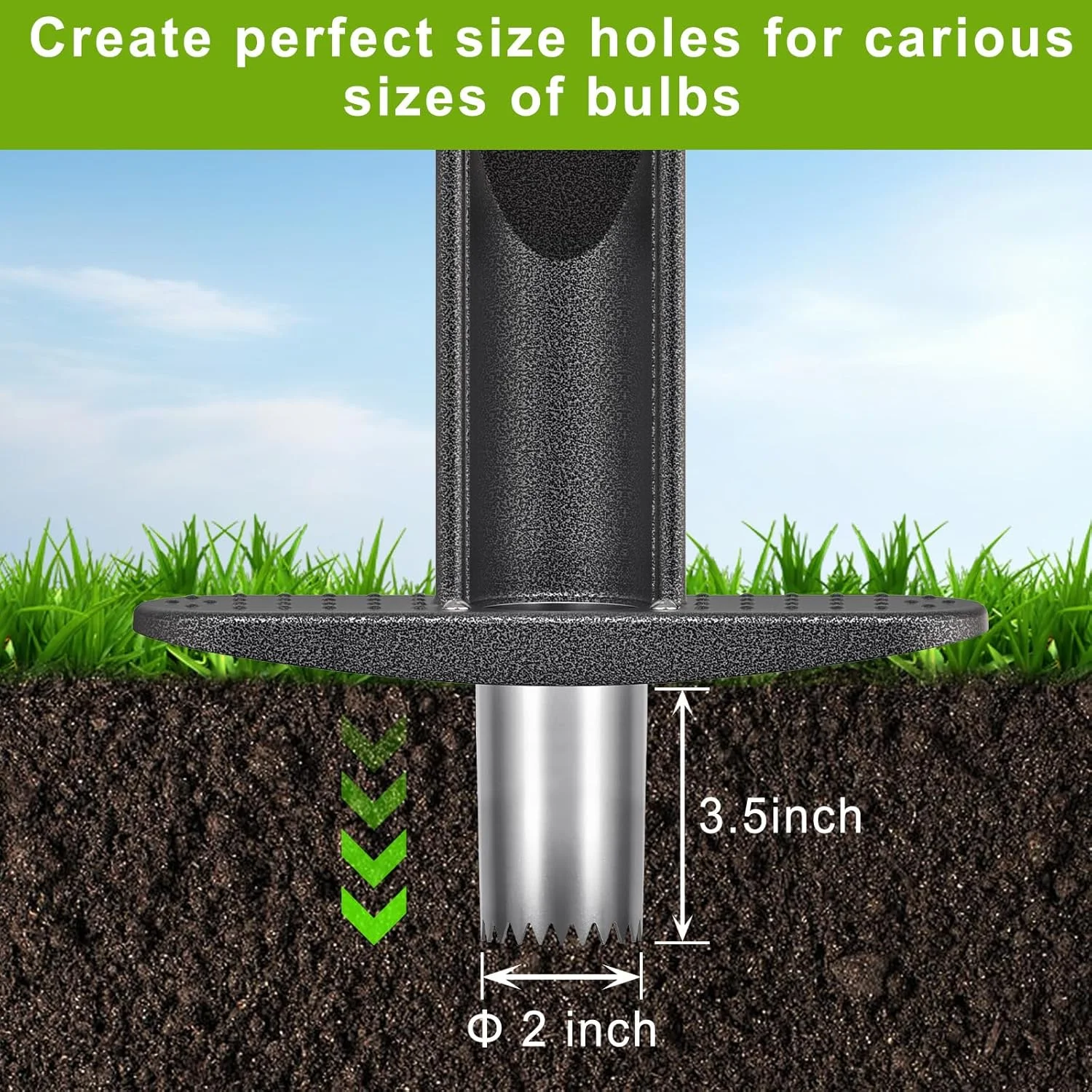 ابزار کاشت پیاز Lifeswell با دسته بلند و دندانه های تیز استیل ضد زنگ، ابزار کاشت چمن و باغ، ابزار کاشت پیاز با دسته لاستیکی نرم برای حفر سوراخ