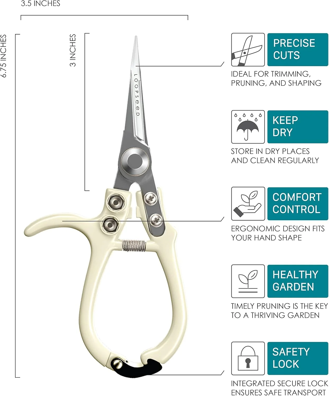 قیچی باغبانی LOOPSEED، قیچی هرس گیاهان، قیچی دستی دقیق، قیچی گیاهان دارویی، قیچی گل، قیچی بونسای، تیغه تیز مستقیم، نوک باریک، دسته ارگونومیک، ابزار باغبانی (کرم کلاسیک)