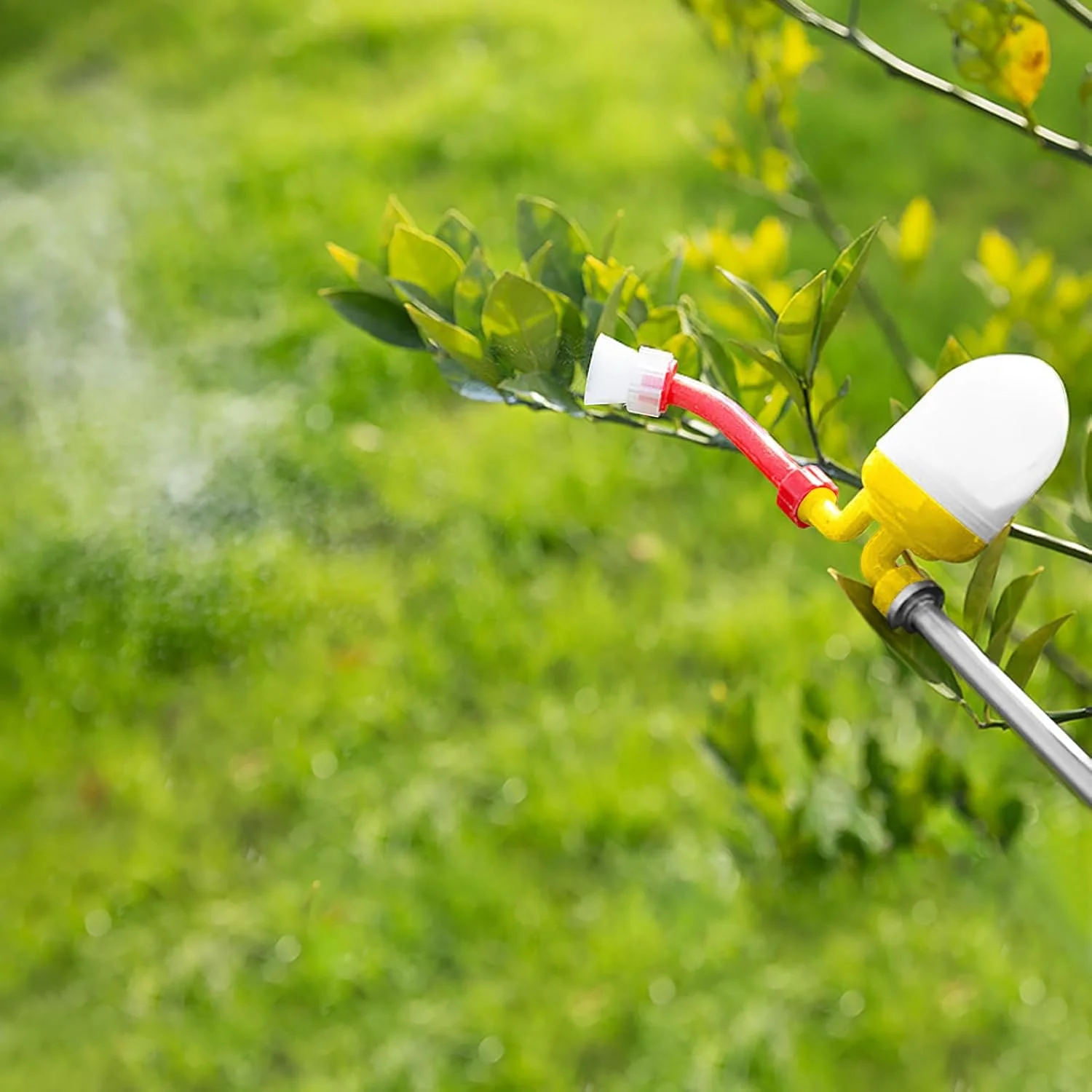 کیت گرده افشانی دستی گل، گرده افشان درخت هلو، ابزار باغبانی چوب گرده افشانی برای تحقیقات، گل، کشت، فضای باز، حیاط، مزرعه، شهری، کشاورزی، گلخانه