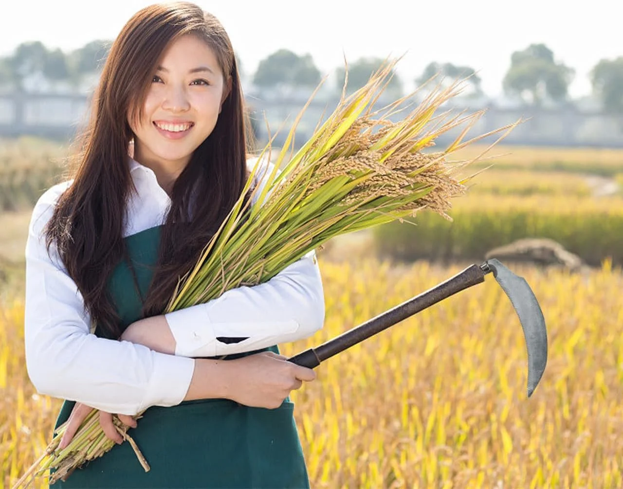 DOITOOL داس باغبانی 6 عددی کربنی، علف‌هرزکن هرس علف‌هرز، دسته‌ها، سر داس‌ها، ابزار فولادی تعویضی دستی برای باغبانی بدون لوازم جانبی