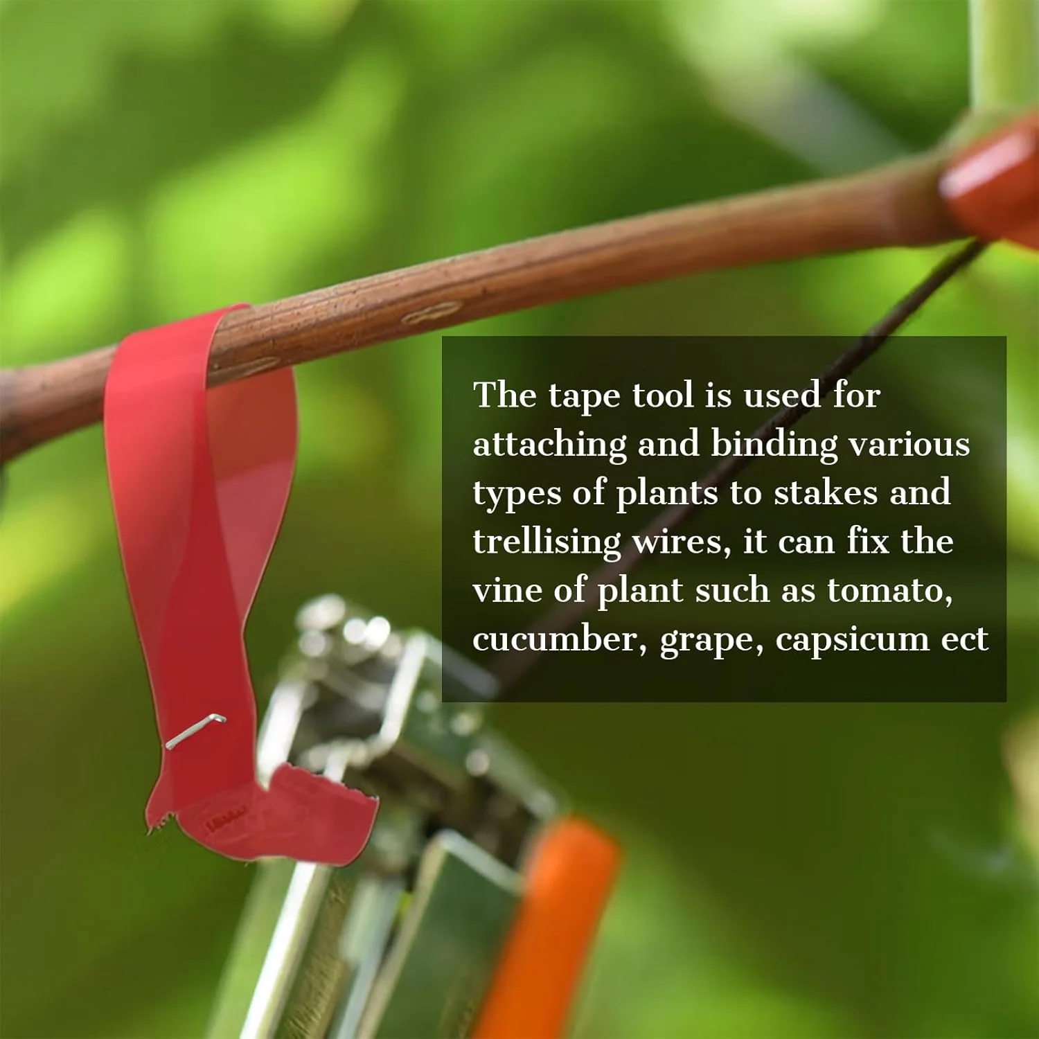 ست دستگاه بستن گیاه Flonsa، ابزار استیل ضد زنگ Tapener برای پشتیبانی کارآمد از گیاهان باغبانان کشاورزان، ابزار بستن گوجه فرنگی