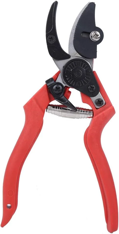 قیچی باغبانی هرس میوه و سبزیجات کشاورزی، قیچی هرس بونسای، قیچی چیدن، ابزار باغبانی برای درختان باغ، گیاهان، میوه ها، سبزیجات و پرچین ها