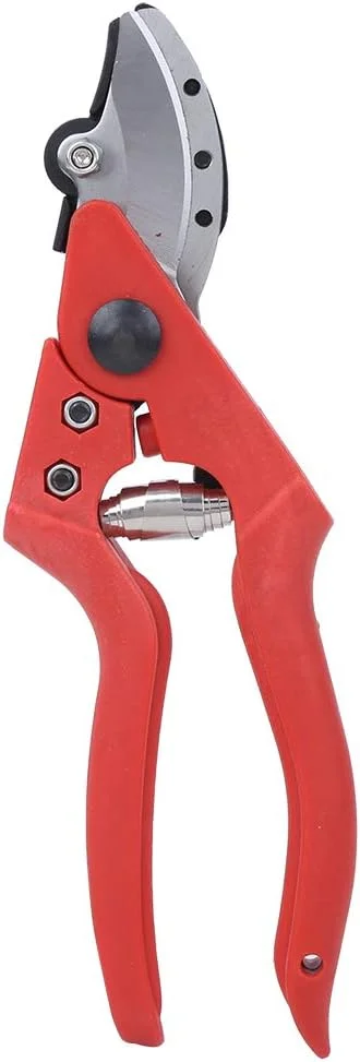 قیچی باغبانی هرس میوه و سبزیجات کشاورزی، قیچی هرس بونسای، قیچی چیدن، ابزار باغبانی برای درختان باغ، گیاهان، میوه ها، سبزیجات و پرچین ها