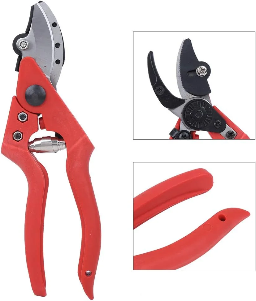 قیچی باغبانی هرس میوه و سبزیجات کشاورزی، قیچی هرس بونسای، قیچی چیدن، ابزار باغبانی برای درختان باغ، گیاهان، میوه ها، سبزیجات و پرچین ها