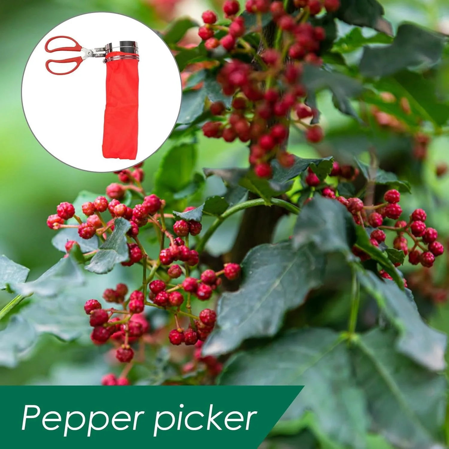 قیچی فلفل چین - قیچی فلفل قابل استفاده مجدد | ابزار چیدن باغبانی قابل حمل، ابزار سخت افزاری باغبانی کشاورزی برای مرکبات، گلابی، هلو، پرتقال