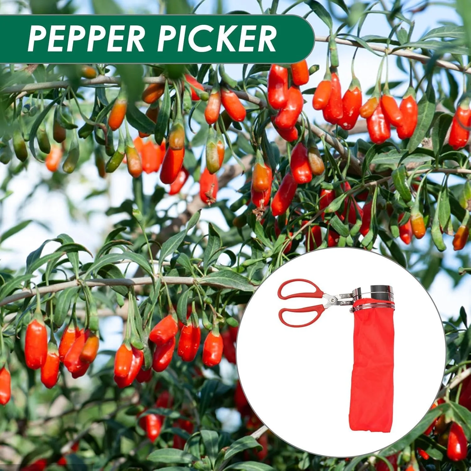 قیچی فلفل چین - قیچی فلفل قابل استفاده مجدد | ابزار چیدن باغبانی قابل حمل، ابزار سخت افزاری باغبانی کشاورزی برای مرکبات، گلابی، هلو، پرتقال